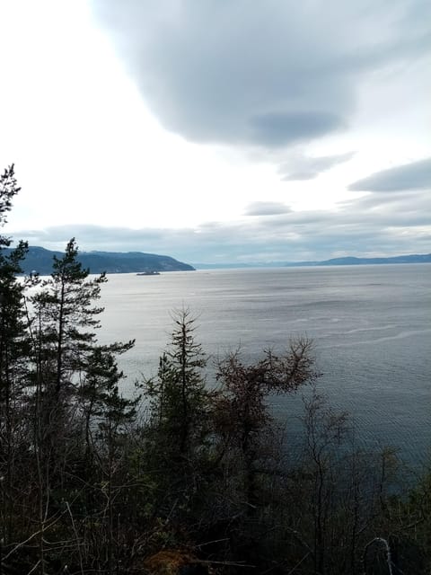 Discovery hike along the Trondheimsfjord - What the guide adds