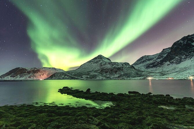 Discovery tour of the island of Senja and Kvaløya from Tromsø - Key points about the Senja and Kvaløya tour