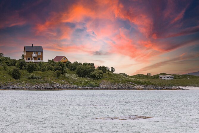 Discovery tour of the island of Senja and Kvaløya from Tromsø - Who will get the most from this outing?