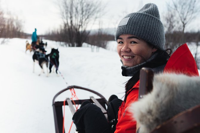 Dog Sled Tour and Husky Cuddles - Why driving the sled makes this Alta tour special