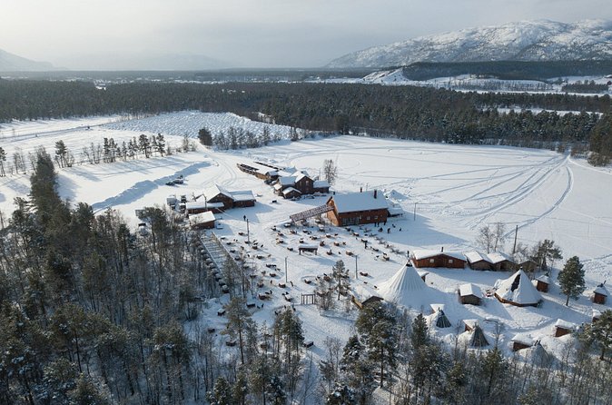 Dog Sled Tour and Husky Cuddles - Tea, snacks, and stories in the lavvu