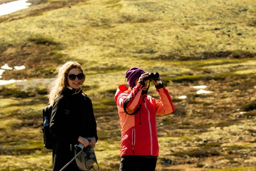 Dovrefjell National Park: Hiking Tour and Musk Ox Safari - What to Pack for Six Hours