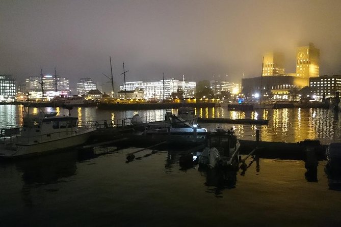 Downtown Oslo: Self-Guided Highlights and History Audio Tour - Karl Johan Avenue, Oslo’s main city street