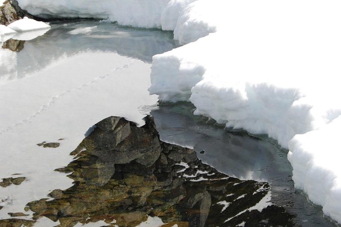 Eco friendly snowshoeing in Scenic Landscape - Polaria adds live Arctic animals