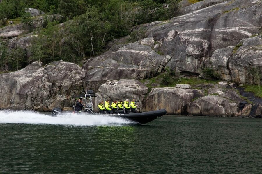 Eidfjord: 1-Hour Fjord RIB Tour - Wildlife, farm animals, and small surprises