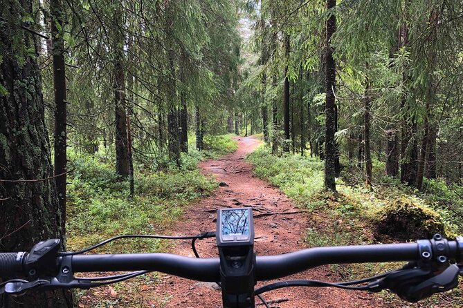 Electric Mountain Bike Rental in Oslo - Key points at a glance
