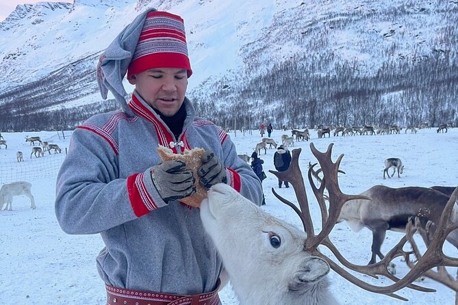 Exclusive Reindeers Experience in small groups, Tromso - Is $178.03 a fair price?
