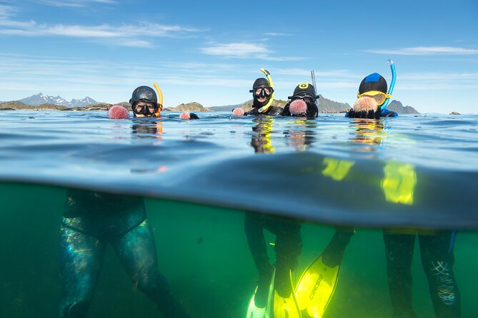 Family Snorkeling Tour - Why this works for families