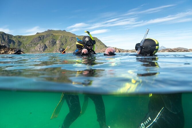 Family Snorkeling Tour - The RIB ride is part of the experience