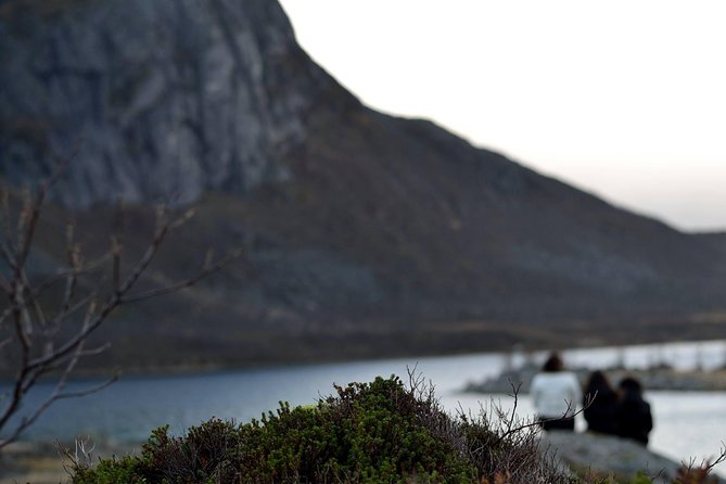 Fjord Expedition: Arctic Adventure Awaits - The personal benefit of a group capped at 15