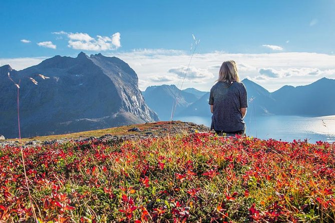 Fjord Expedition: Arctic Adventure Awaits - Clothing matters more than the camera