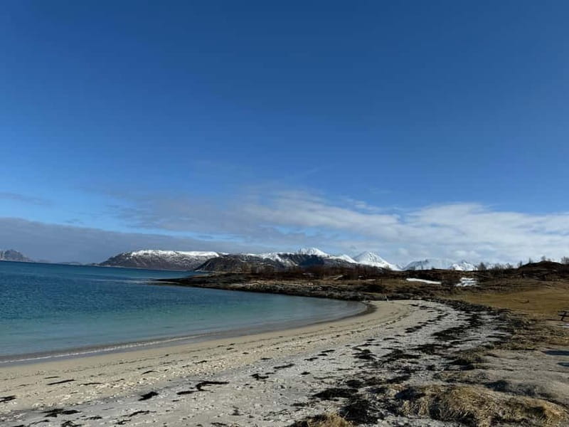 Fjord Foto Tour to Sommaroy (Roadtrip) - The guide’s role and the quality of the day