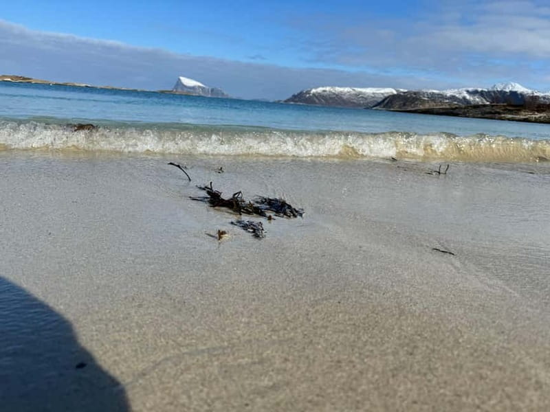 Fjord Foto Tour to Sommaroy (Roadtrip) - Who should book this road trip?