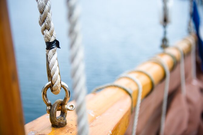Fjord & History Cruise - Nearby islands, wildlife, and open water