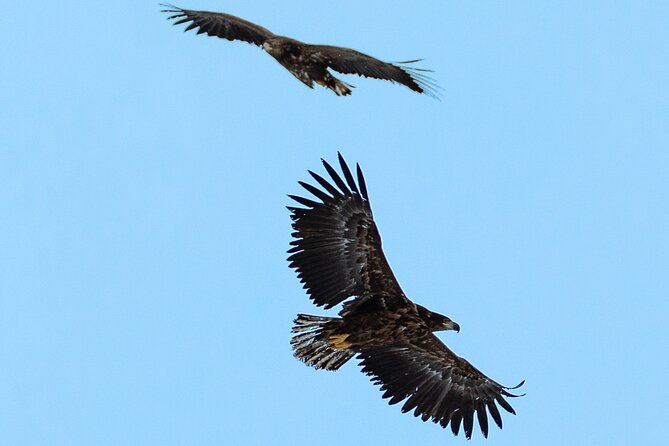 Fjord & History Cruise - The Arctic Cathedral from the seaside