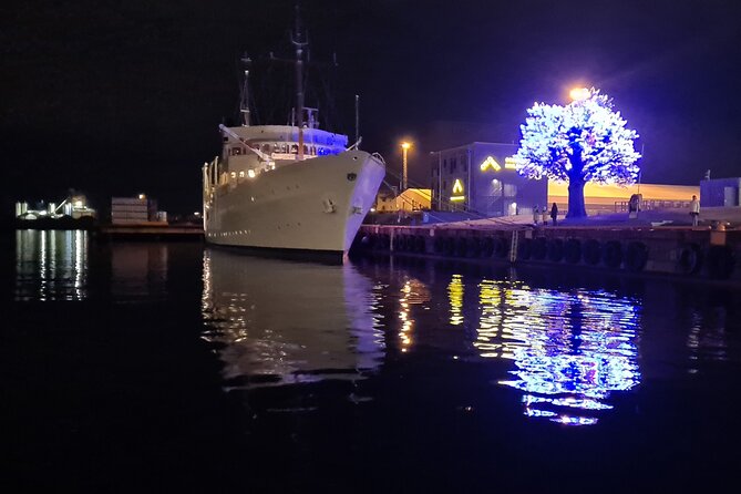 Fjord Houseboat Cruise in Oslo. 100 % electric. BYO - What the private format changes