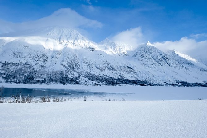 Fjord, Mountain and Wildlife Tour - Why Tromsø’s western fjords are worth the drive