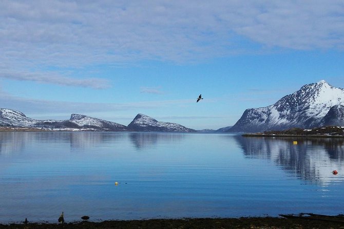 Fjord, Mountain and Wildlife Tour - Ersfjord and the changing Arctic weather