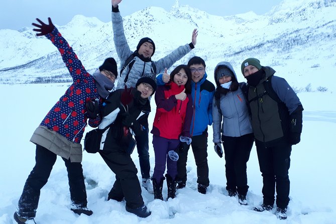 Fjord, Mountain and Wildlife Tour - Reindeer, seals, and realistic wildlife expectations