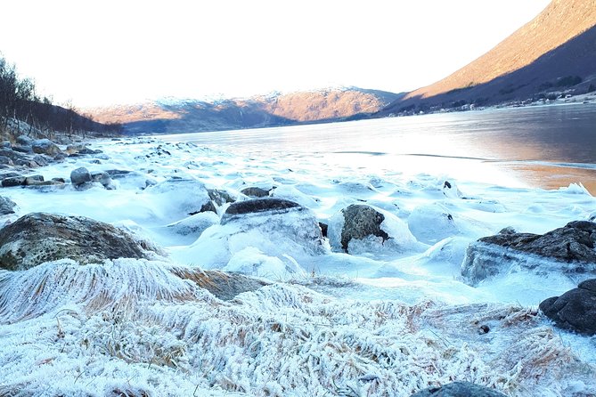 Fjord, Mountain and Wildlife Tour - Warm suits, hot chocolate, and what to wear