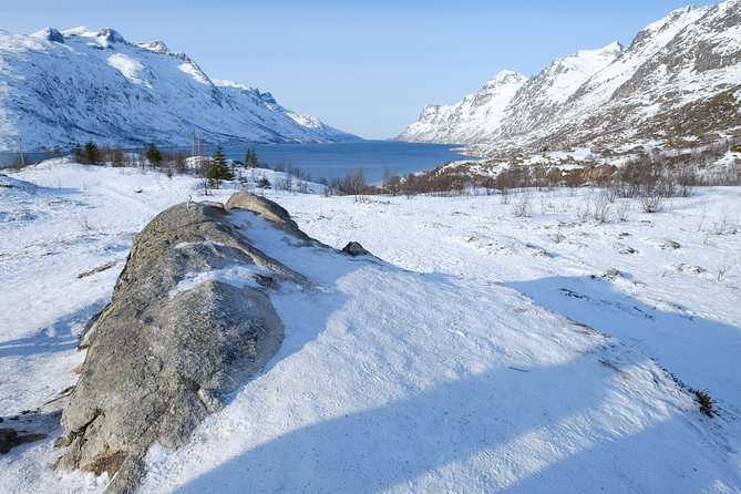 Fjord, Mountain and Wildlife Tour - From Kvaløysletta to Kaldfjord