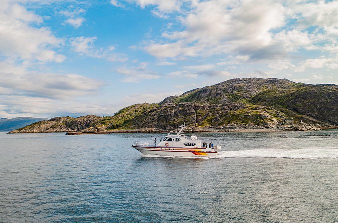 Fjord Safari in the Altafjord - Birds, dolphins, and the value of looking carefully