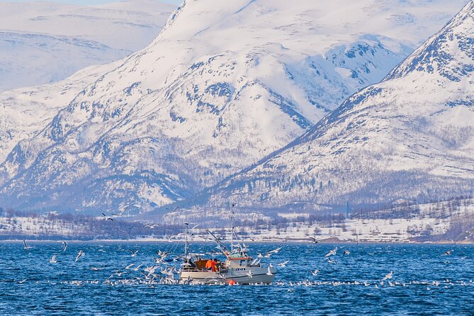 Fjord Safari in the Altafjord - Staying warm while you watch the fjord