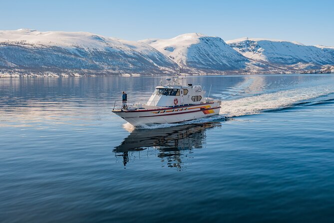Fjord Safari in the Altafjord - Who will enjoy this safari most