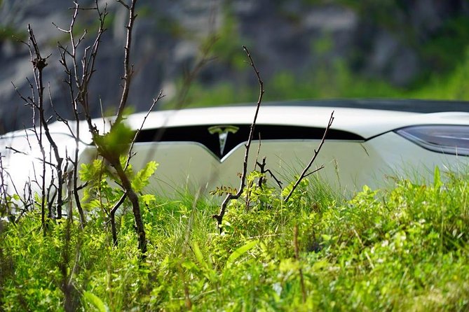 Fjord Sightseeing - Eco friendly Tesla Model X - A comfortable ride in the Tesla Model X