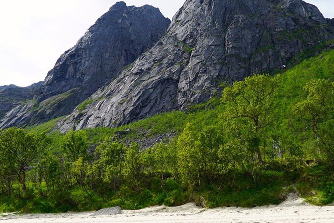 Fjord Sightseeing - Eco friendly Tesla Model X - The café pause with cake and coffee