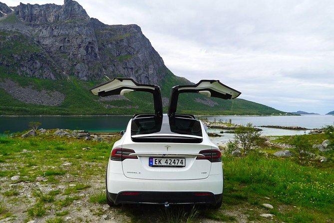 Fjord Sightseeing - Eco friendly Tesla Model X - The Aurora Borealis question
