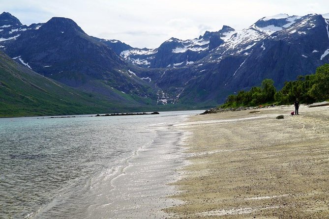Fjord Sightseeing - Eco friendly Tesla Model X - Is $171.16 per person good value?