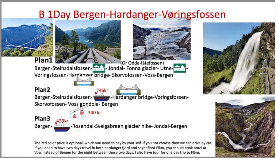 Flåm Flexible Tour with Stegastein, cruise and train include - The Nærøyfjord is the heart of the water journey