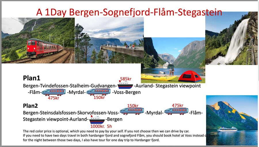 Flåm Flexible Tour with Stegastein, cruise and train include - Flåm combines a compact village with a famous railway