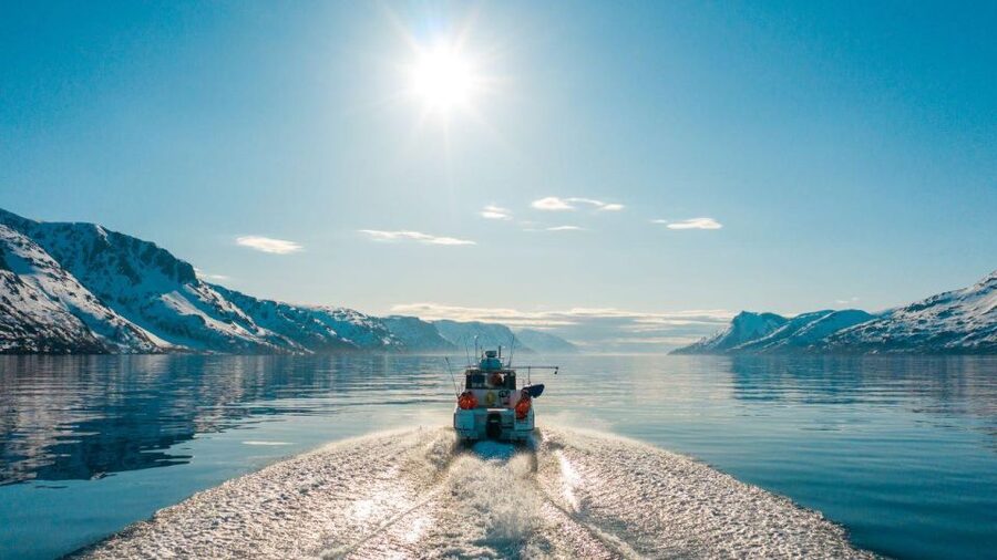 From Alta: Adventure Cruise in Alta Fjord - Key points to know before you book