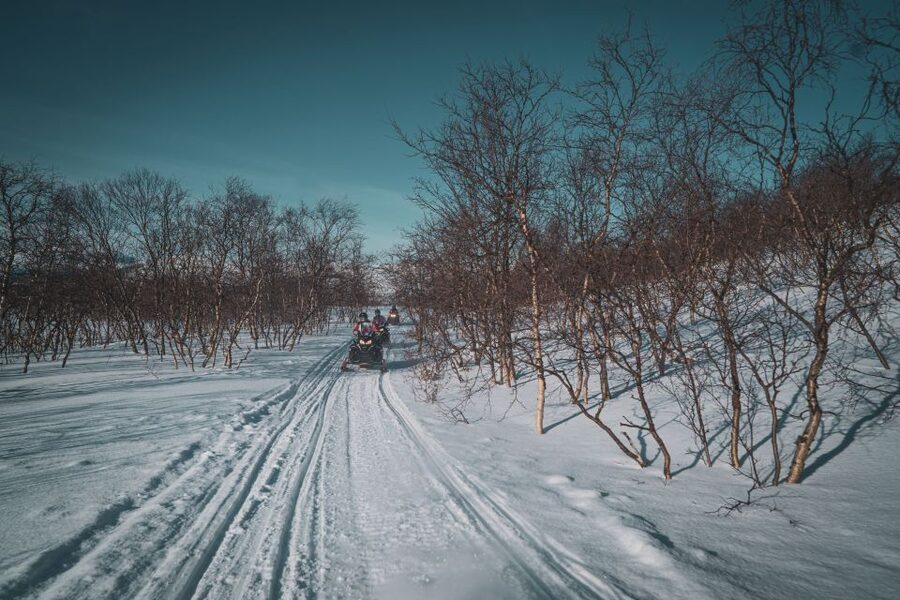 From Alta: Daytime Snowmobile Adventure - Booking details that matter in Alta