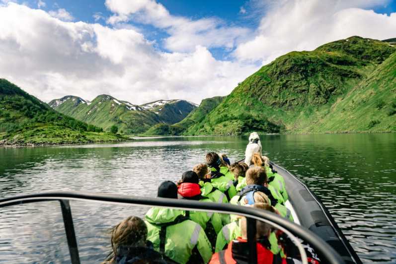 From Alta: Experience Seiland National Park - Key points to know before you book