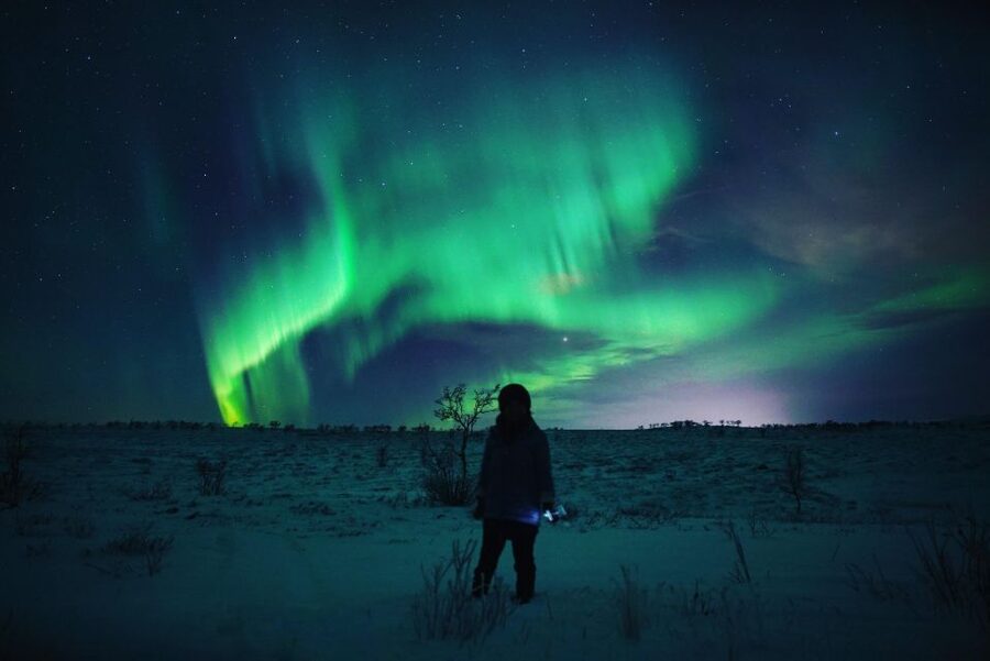 From Alta: Nighttime Northern Lights Spotting Tour - Riding by Minibus to the Night’s Best Spots