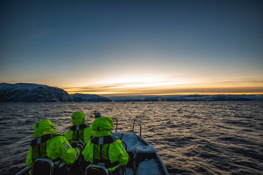 From Alta: Small Group Whale Watching by RIB - Key points to know before you book