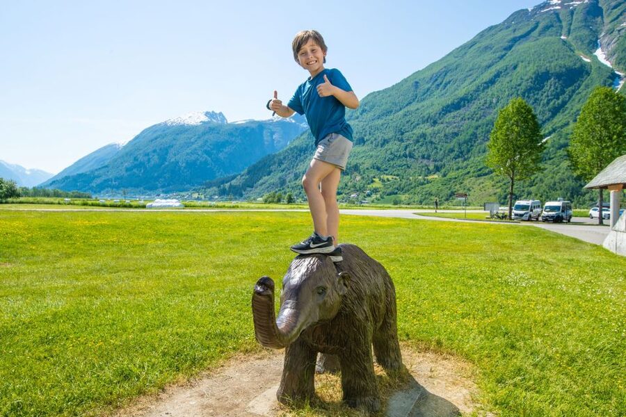 From Balestrand: Guided Fjord & Glacier Tour to Fjærland - What to expect inside the Norwegian Glacier Museum