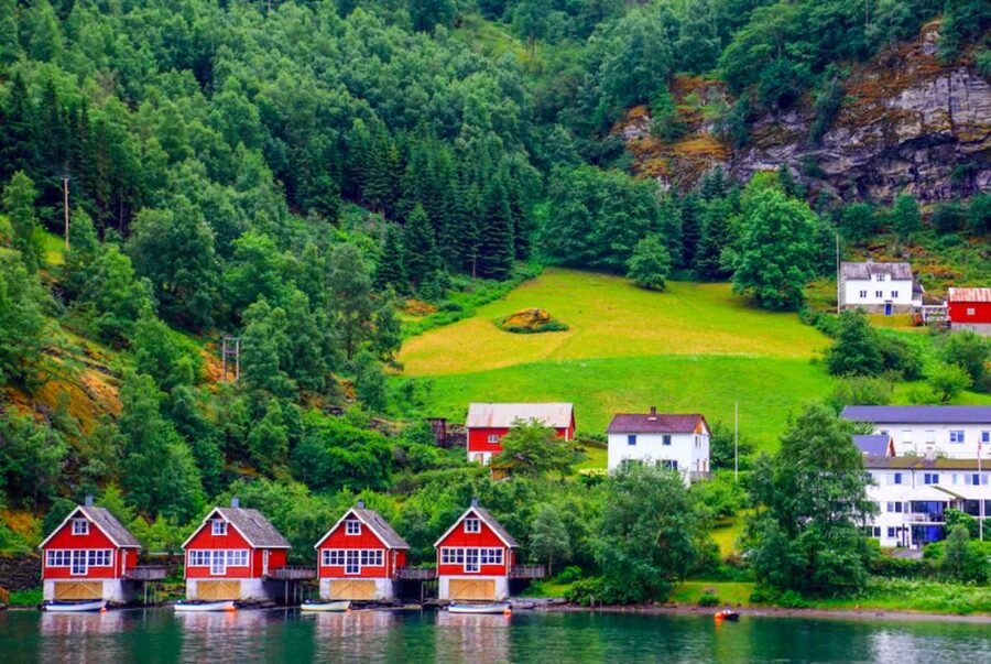 From Bergen: Flam Full-Day Cruise to Sognefjord - Is the cruise a guided tour?