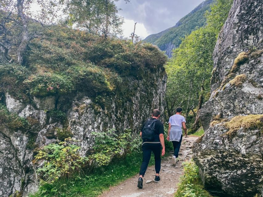 From Bergen: Folgefonna National Park & Glacier Lake Tour - Is $222 Good Value?