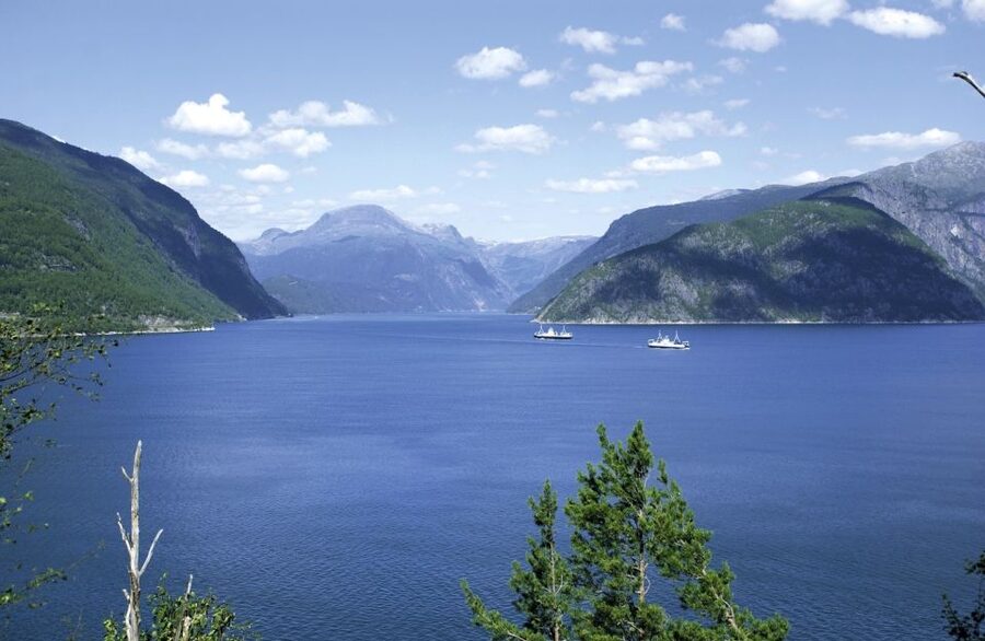 From Bergen: Private Trip to Hardangerfjord - Why this private Hardangerfjord day works