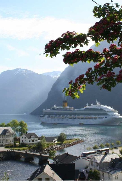 From Hellesylt: The Best of Geiranger Shore Excursion - Why this route makes sense from Hellesylt