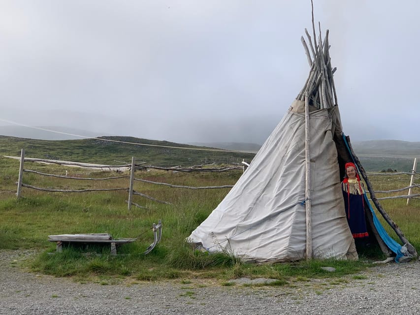 From Honningsvåg: VIP North Cape and Kingcrab Tour - Viewpoints, reindeer, and the road to the cape