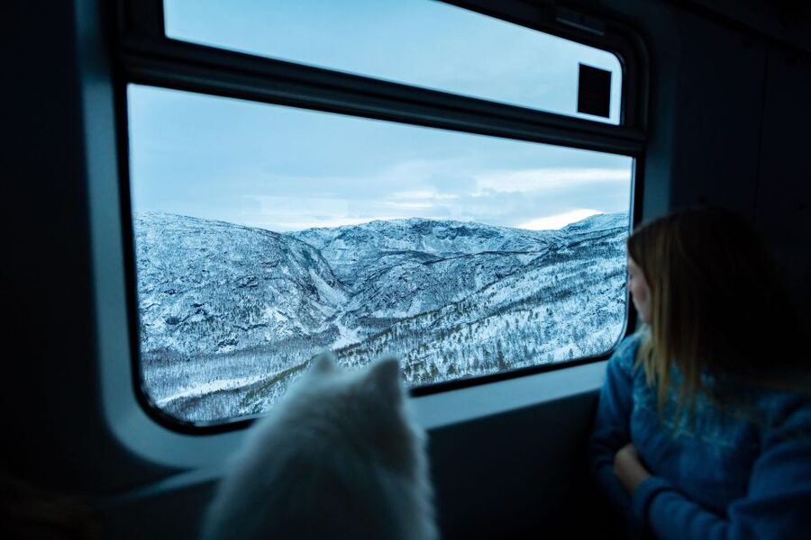 From Narvik: Roundtrip Arctic Train Ride on Ofoten Railway - Why the Ofoten Railway is worth your time