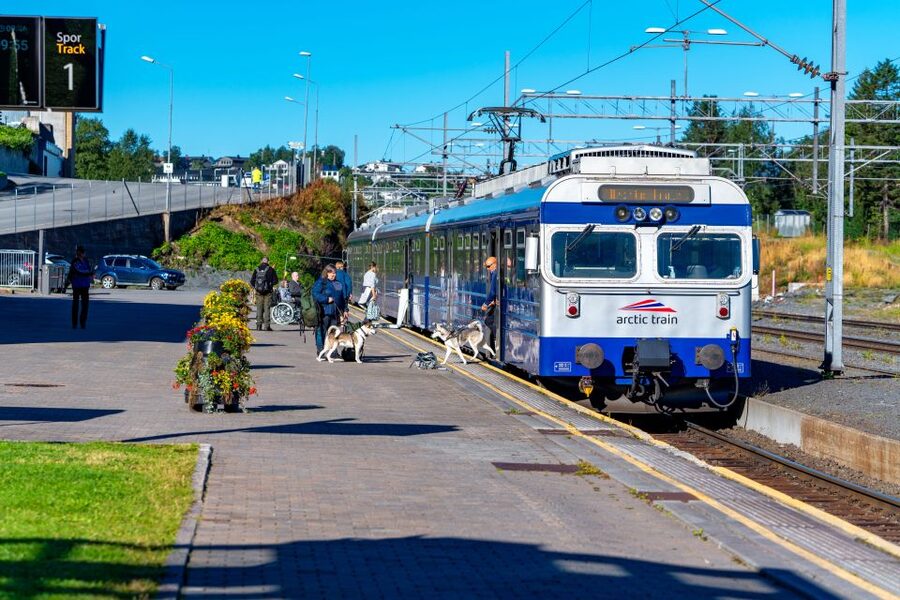 From Narvik: Roundtrip Arctic Train Ride on Ofoten Railway - Sitting on the right side of the train