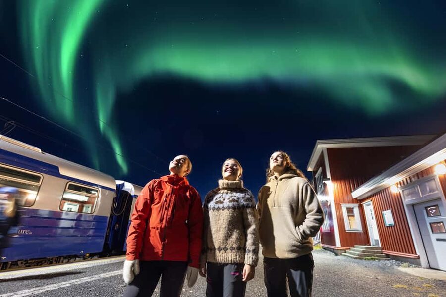 From Narvik: The Northern Lights Arctic Train Guided Tour - Riding the Ofoten Railway from Narvik