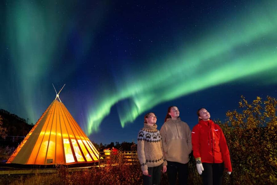 From Narvik: The Northern Lights Arctic Train Guided Tour - The return to Narvik
