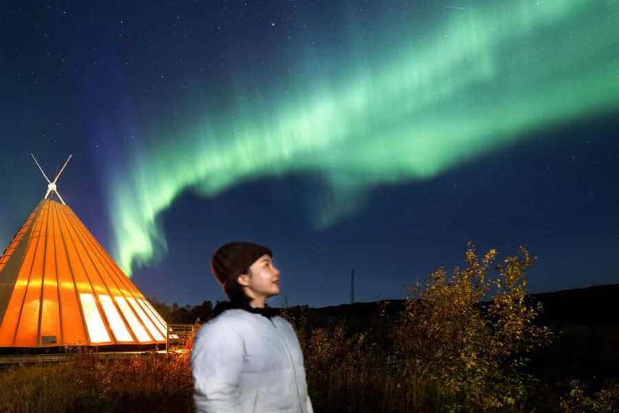 From Narvik: The Northern Lights Arctic Train Guided Tour - What the $142 price really covers